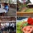 /album/fotogaleria-nosotros/images-0-jpg/
